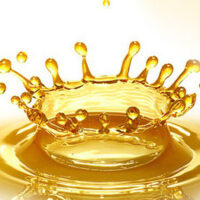 プラセンタって何にいいの？？