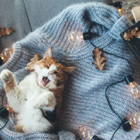 季節の変わり目の体の変化