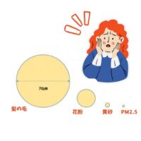 毛穴と、花粉。