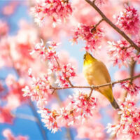 春もあと少し♪お肌のお手入れはじめましょう！！