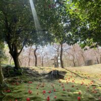 3月の紫外線は９月と同じ！紫外線ケア始めましょう！